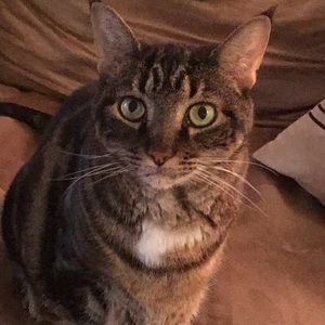 Meet your Posher, Patti